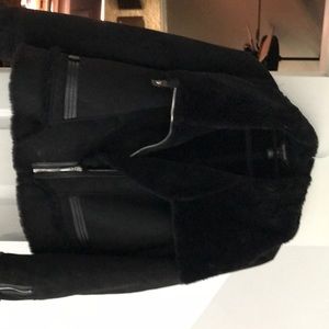 WHBM real suede coat XL BRAND NEW